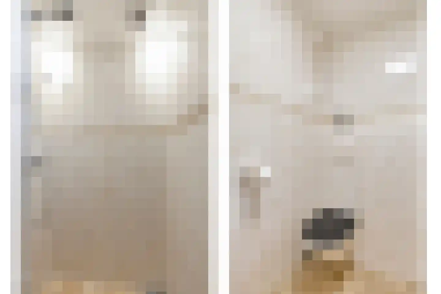 Lijster 69 Hoogvliet Rotterdam thumbnail 36