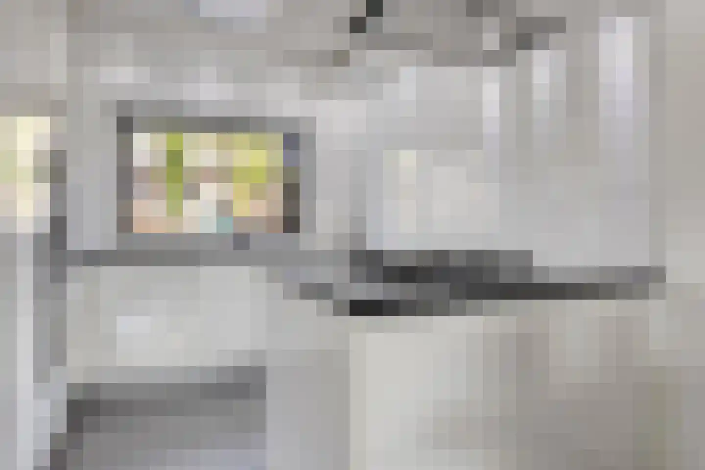 Lijster 69 Hoogvliet Rotterdam thumbnail 4