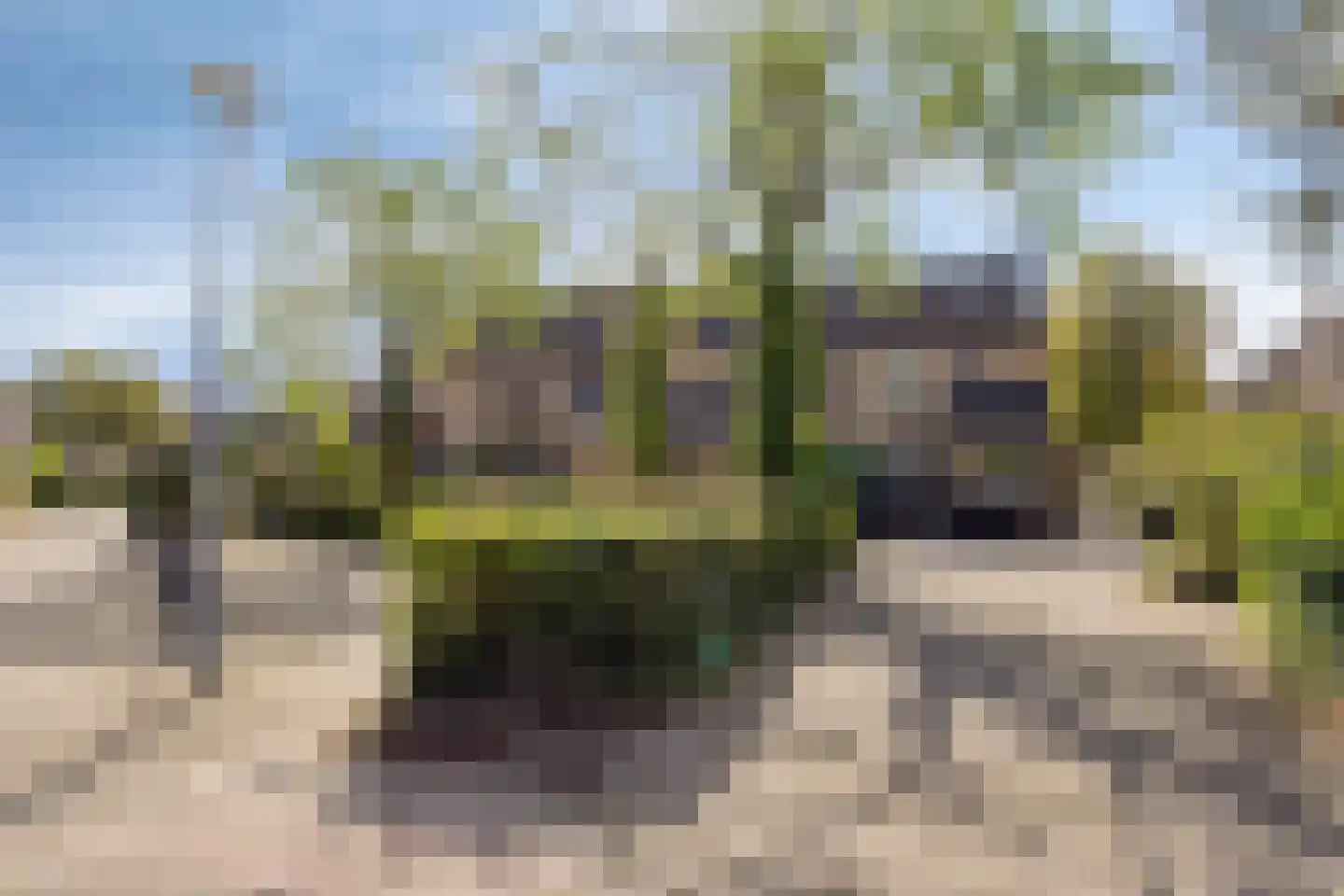 Lijster 69 Hoogvliet Rotterdam thumbnail 45