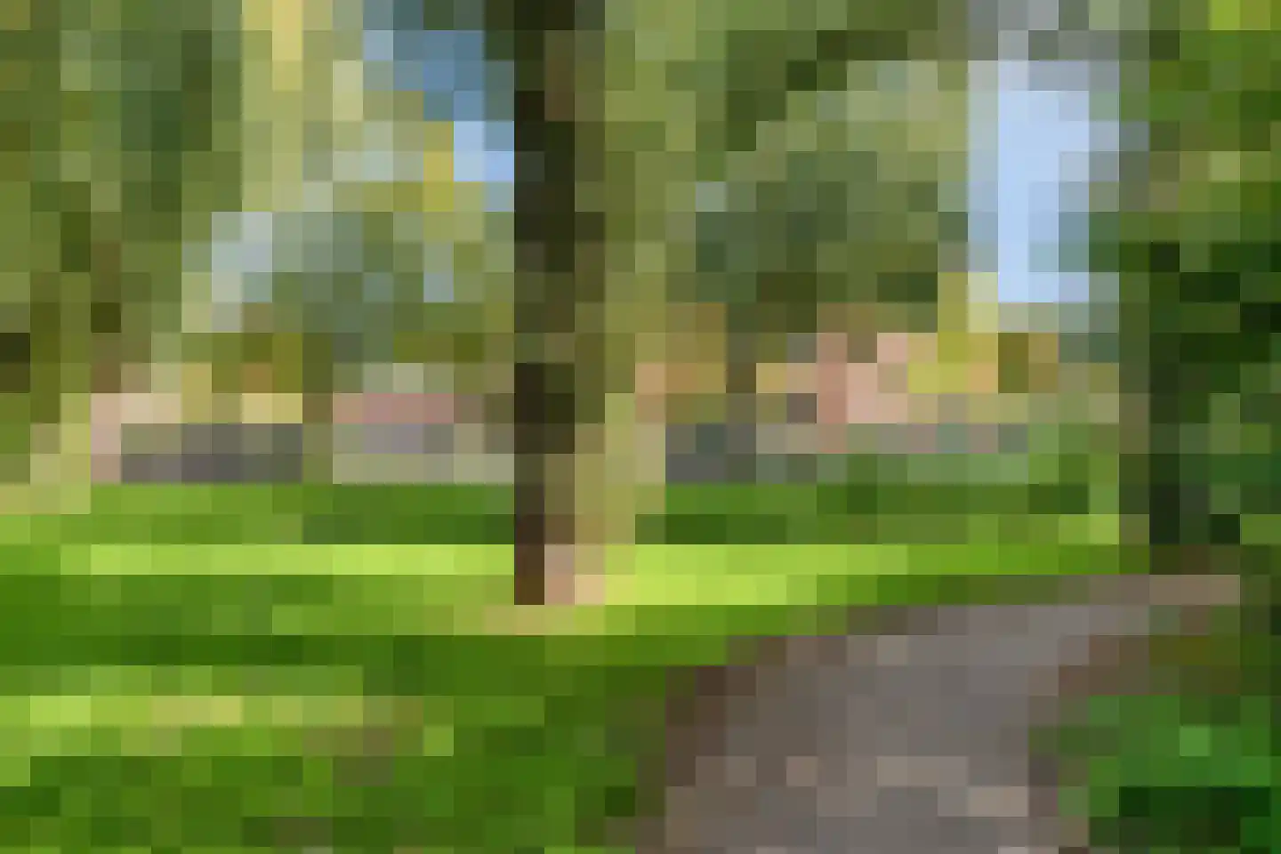 Lijster 69 Hoogvliet Rotterdam thumbnail 46