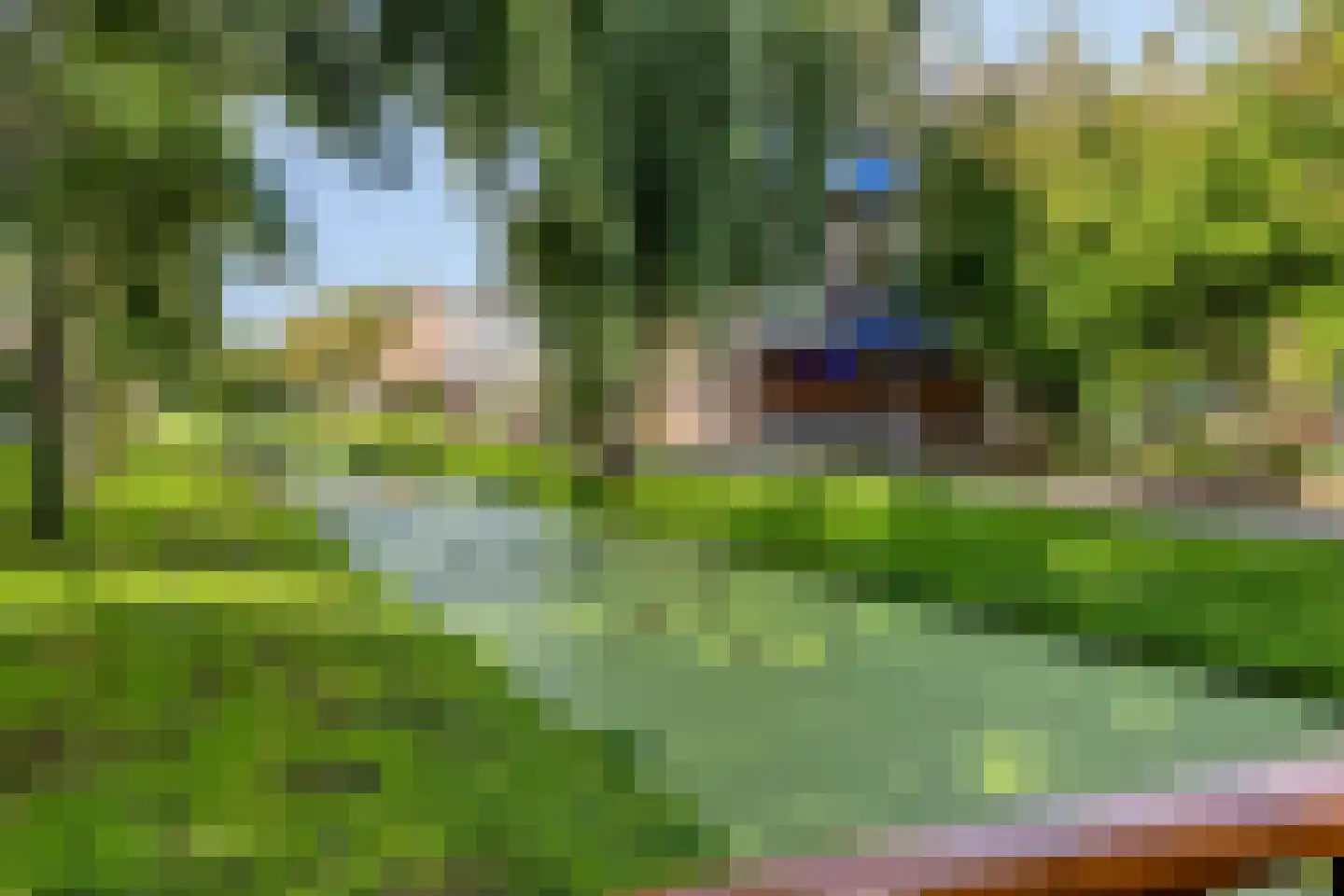 Lijster 69 Hoogvliet Rotterdam thumbnail 47