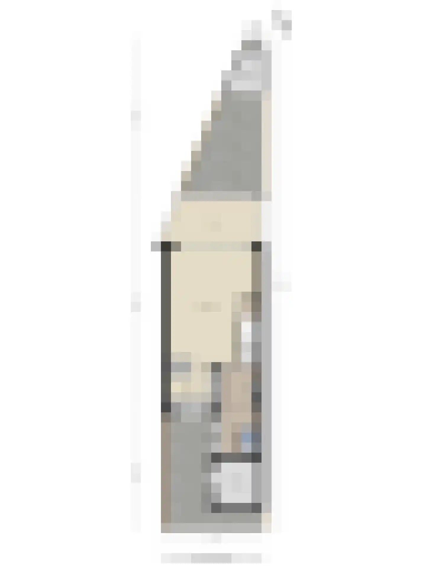 Lijster 69 Hoogvliet Rotterdam thumbnail 52