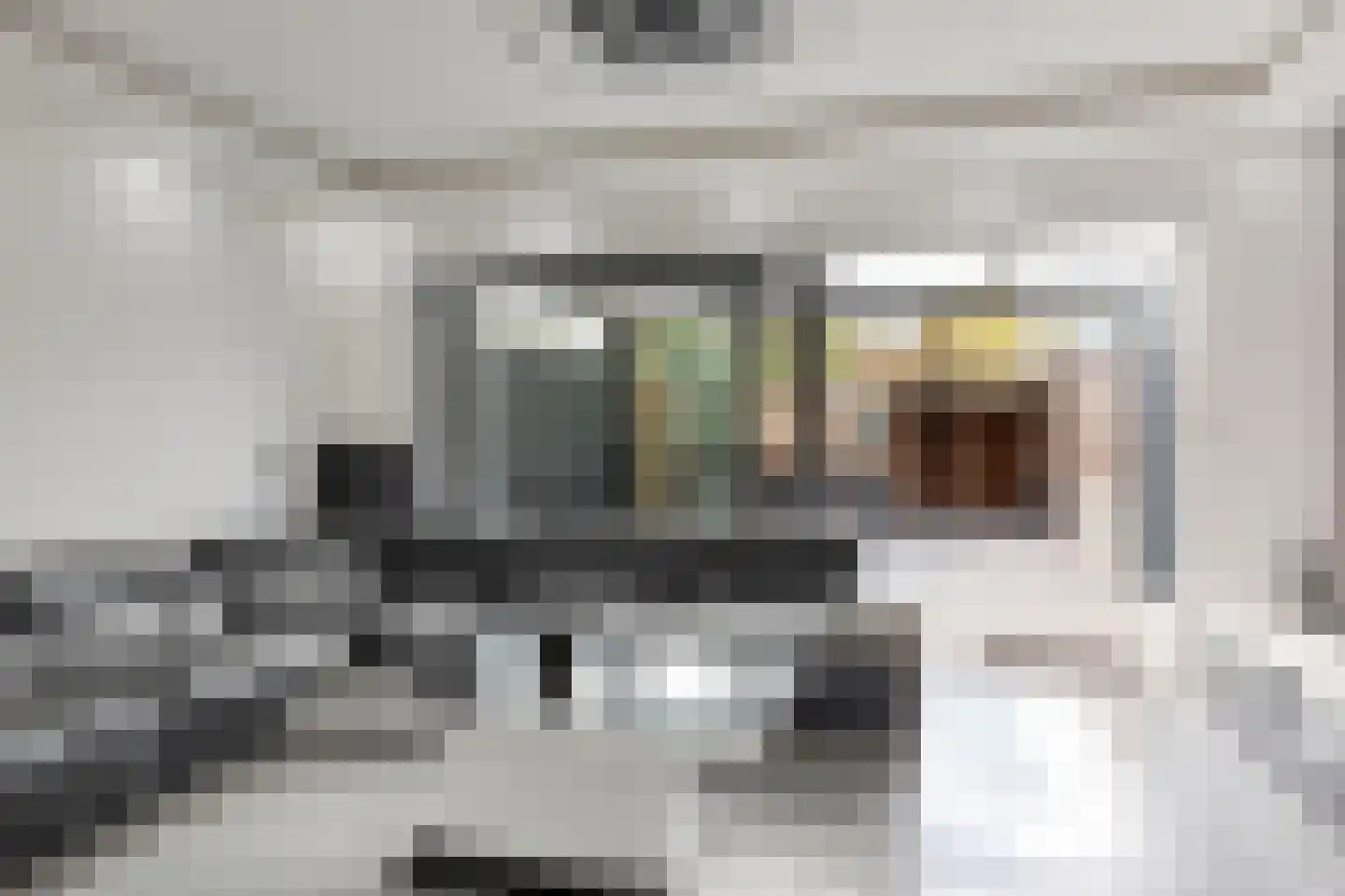 Lijster 69 Hoogvliet Rotterdam thumbnail 7