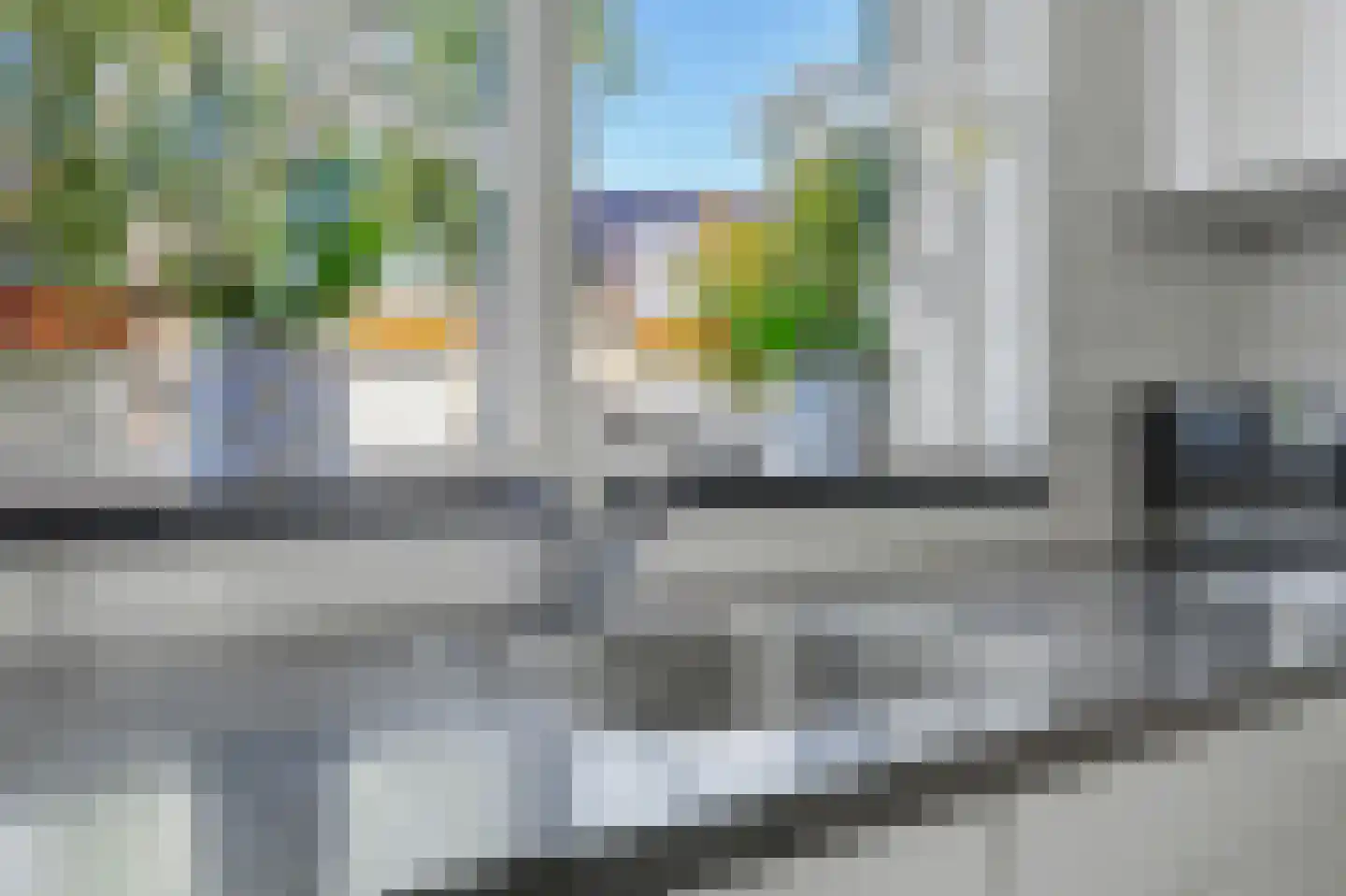 Lijster 7 Oud-Beijerland thumbnail 14