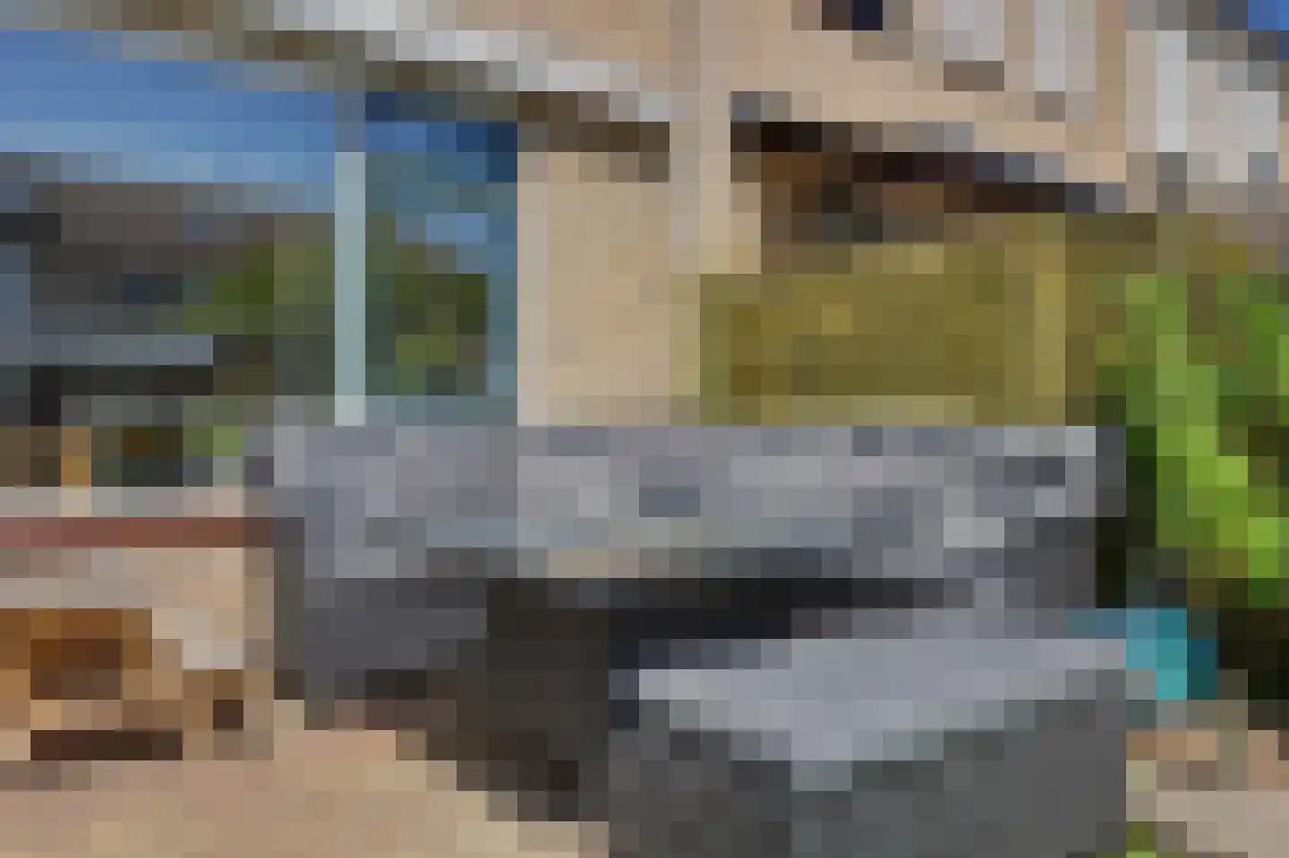 Lijster 7 Oud-Beijerland thumbnail 30