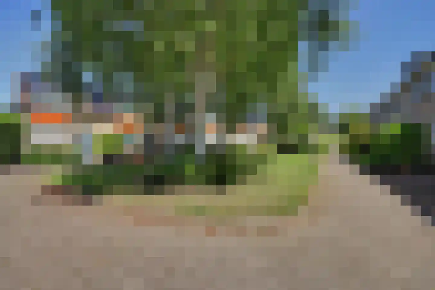Lijster 7 Oud-Beijerland thumbnail 33