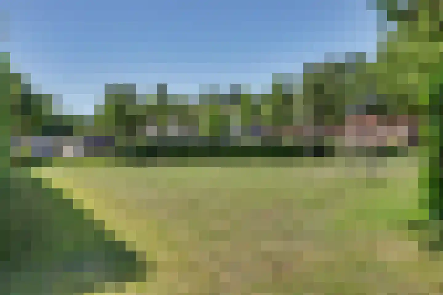 Lijster 7 Oud-Beijerland thumbnail 34