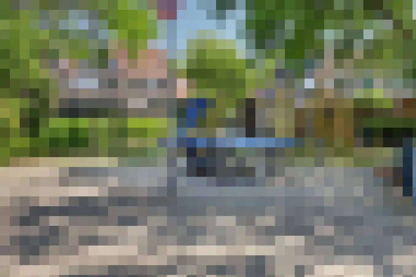 Lijster 7 Oud-Beijerland thumbnail 35