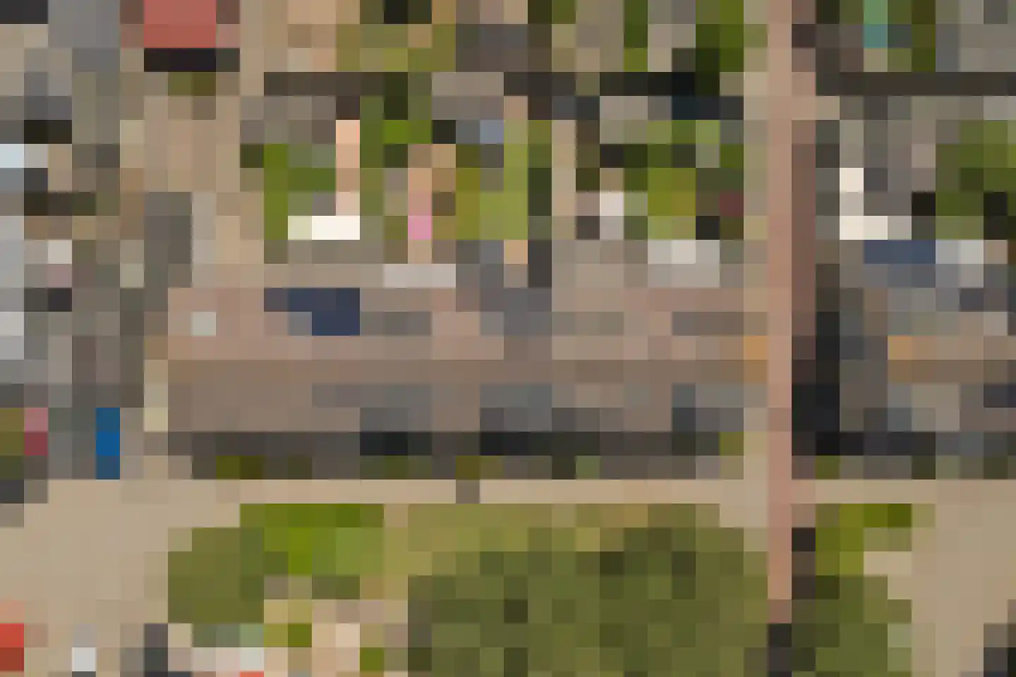 Lijster 7 Oud-Beijerland thumbnail 36