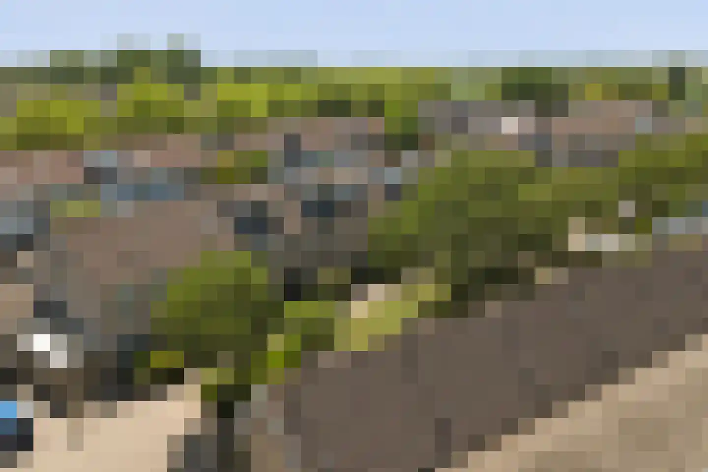 Lijster 7 Oud-Beijerland thumbnail 37
