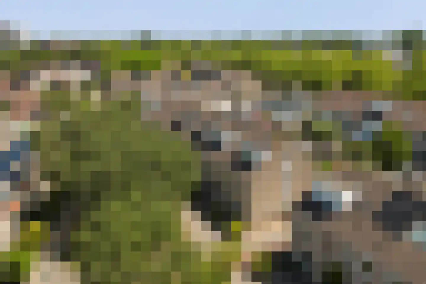 Lijster 7 Oud-Beijerland thumbnail 38