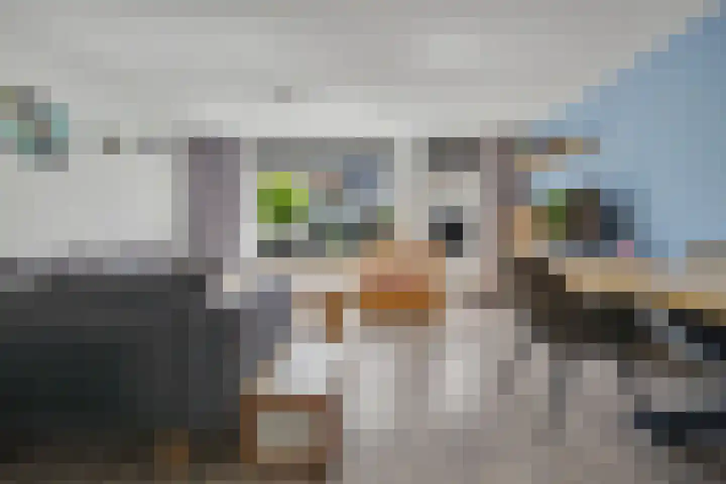 Lijster 7 Oud-Beijerland thumbnail 4