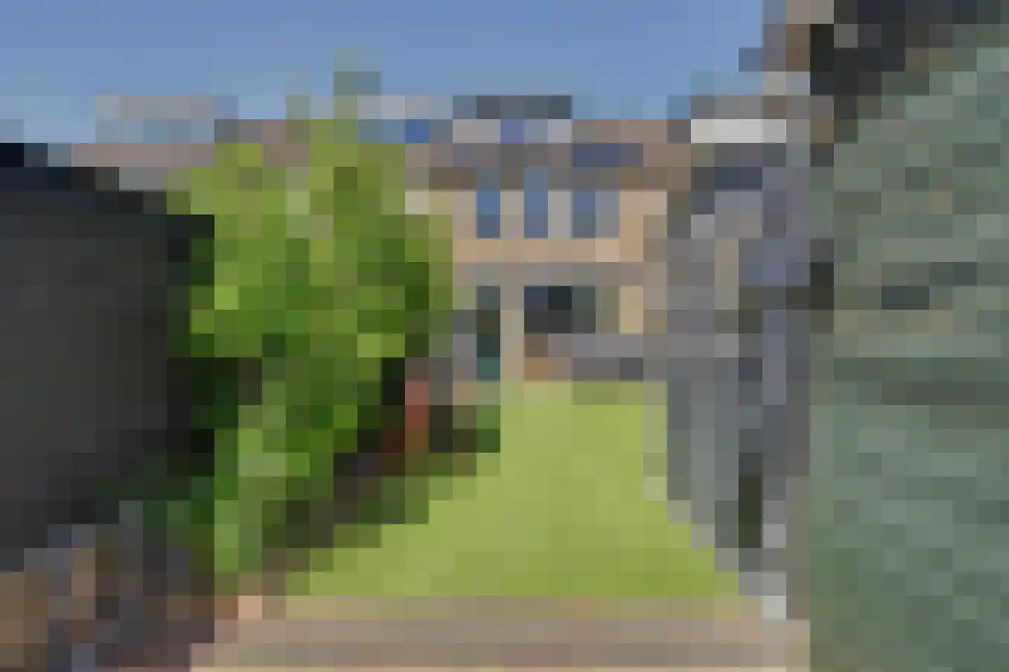 Lijster 7 Oud-Beijerland thumbnail 5