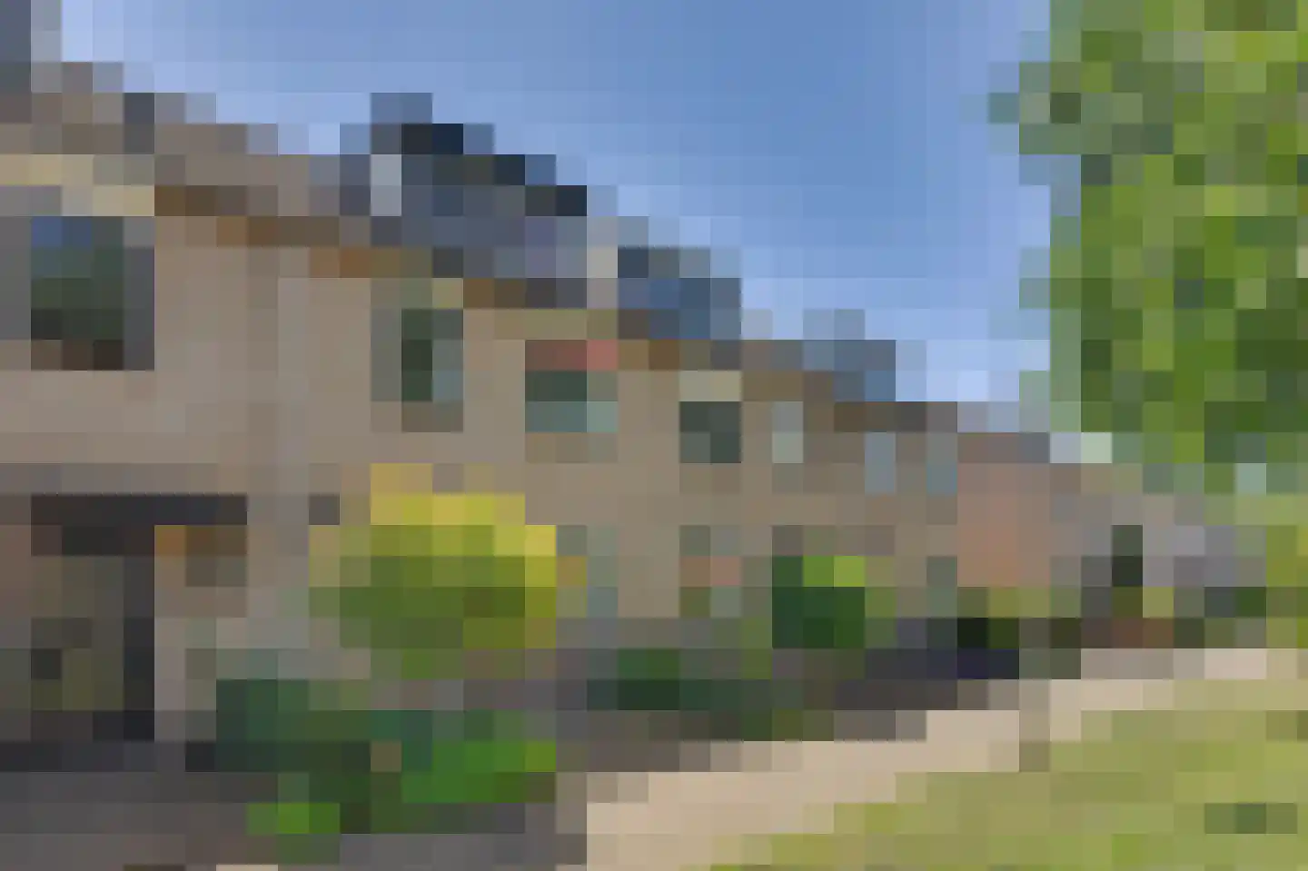 Lijster 7 Oud-Beijerland thumbnail 7