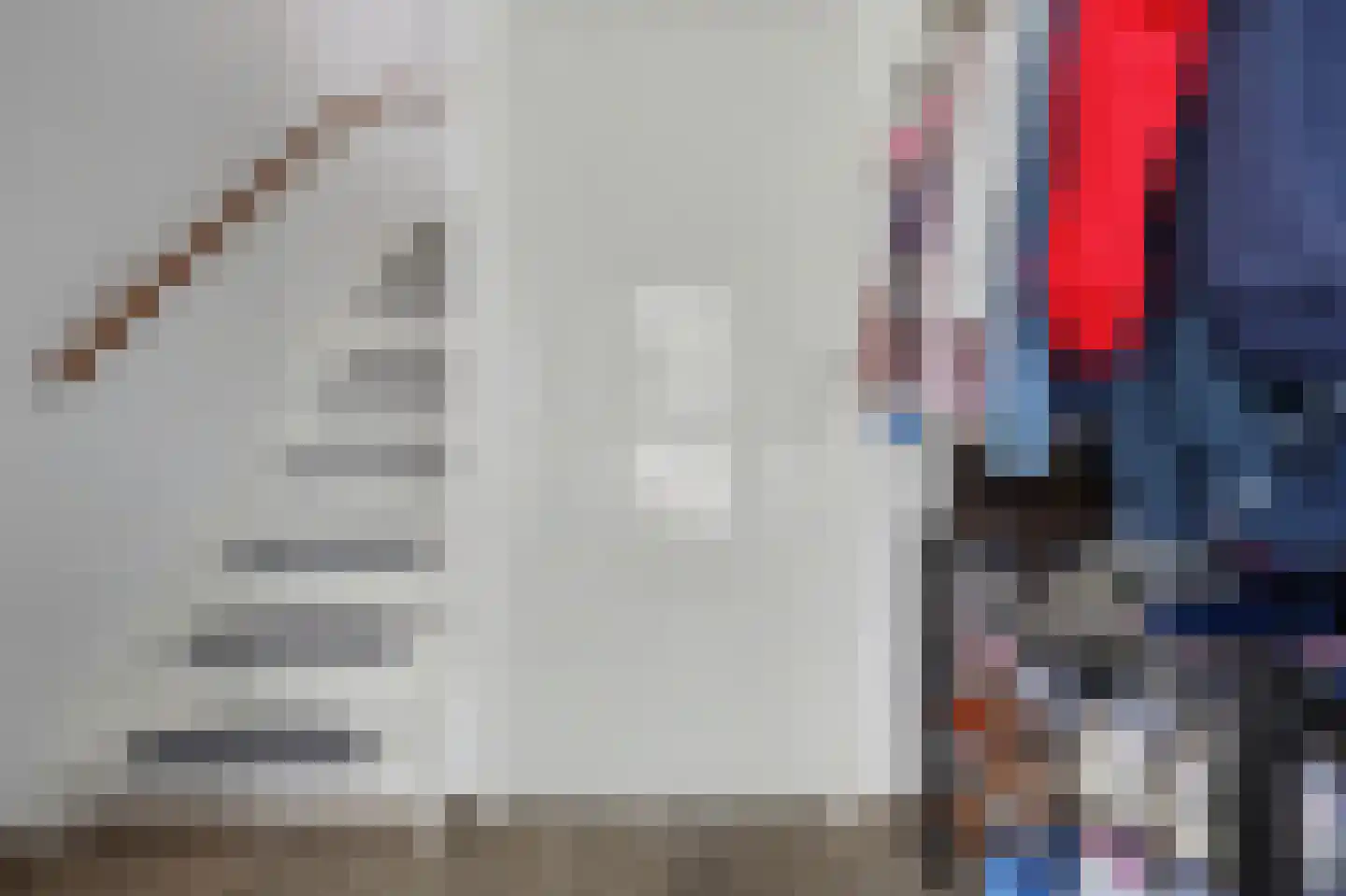 Lijster 7 Oud-Beijerland thumbnail 8