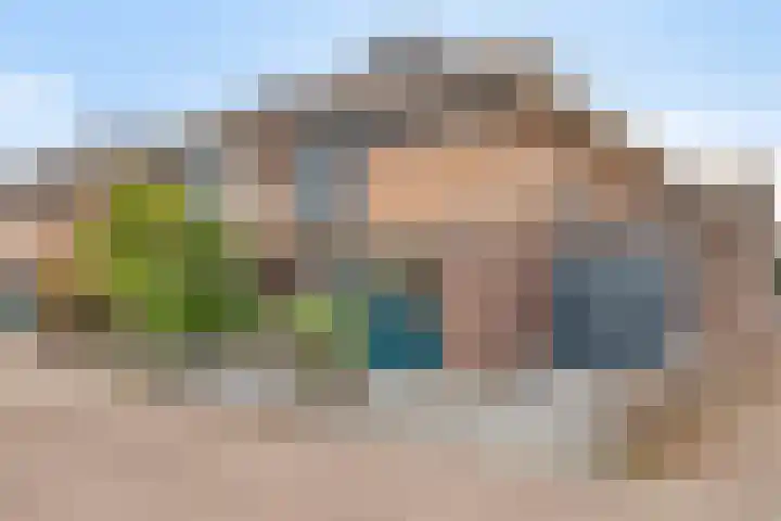 Lijster 7 Raalte