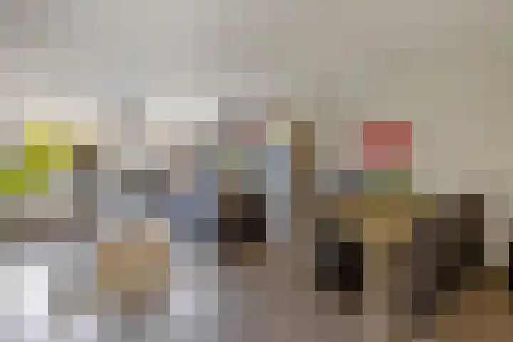 Lijster 7 Raalte thumbnail 10