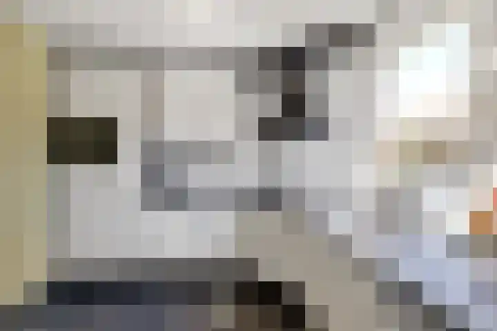 Lijster 7 Raalte thumbnail 12