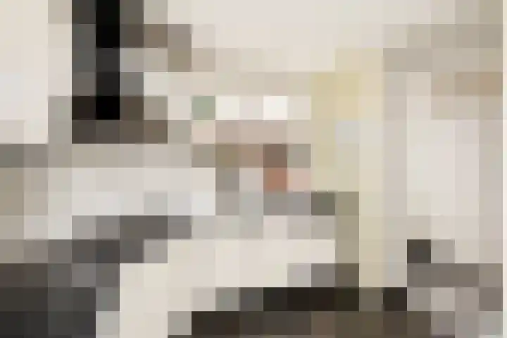 Lijster 7 Raalte thumbnail 13