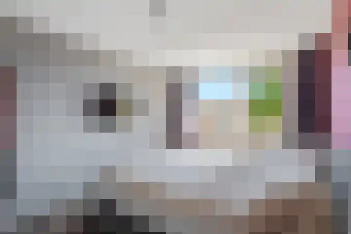 Lijster 7 Raalte thumbnail 15