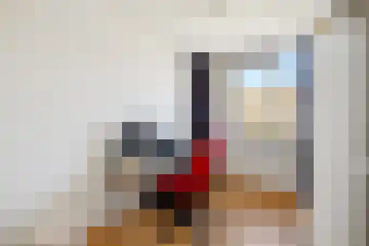 Lijster 7 Raalte thumbnail 18