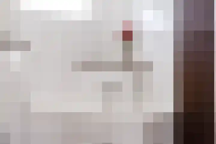 Lijster 7 Raalte thumbnail 22