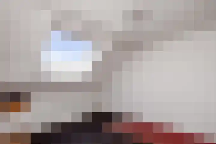 Lijster 7 Raalte thumbnail 24