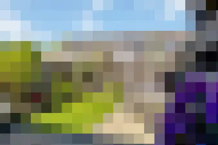 Lijster 7 Raalte thumbnail 25