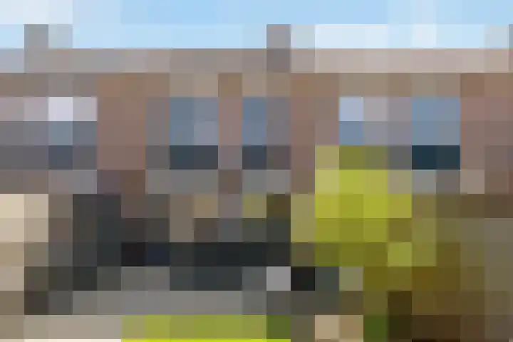 Lijster 7 Raalte thumbnail 27