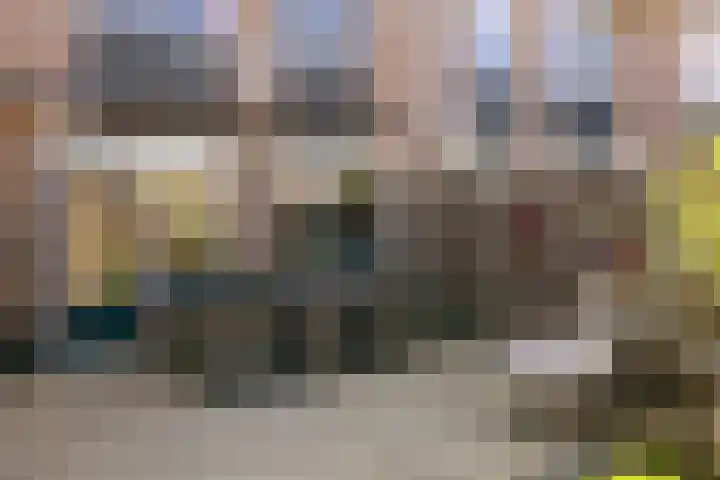 Lijster 7 Raalte thumbnail 28