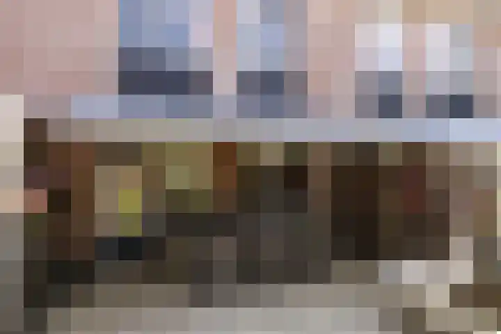 Lijster 7 Raalte thumbnail 29