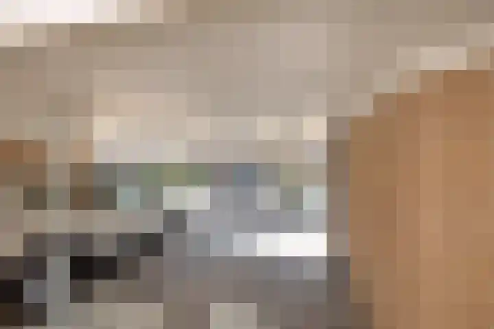 Lijster 7 Raalte thumbnail 30