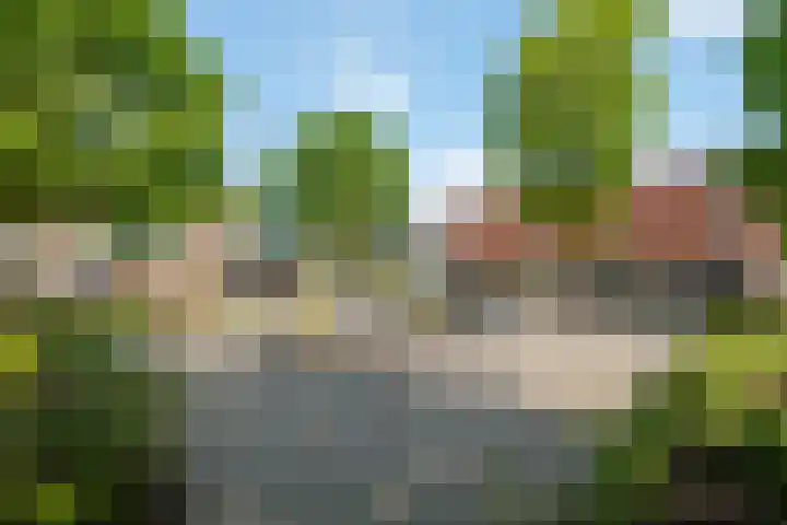 Lijster 7 Raalte thumbnail 31