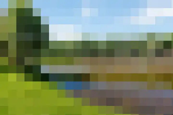 Lijster 7 Raalte thumbnail 32