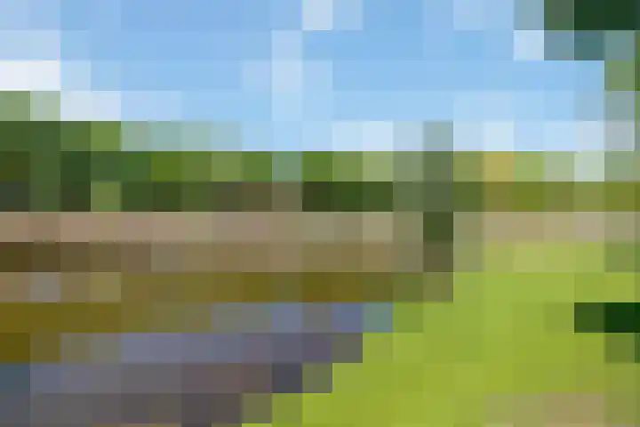 Lijster 7 Raalte thumbnail 33