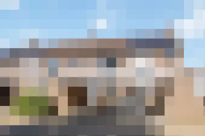 Lijster 7 Raalte thumbnail 38