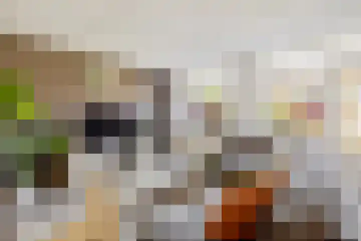Lijster 7 Raalte thumbnail 4