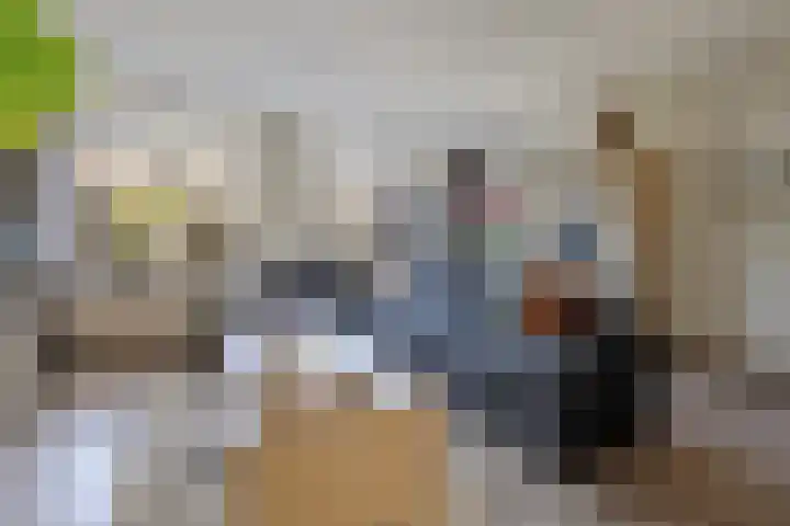 Lijster 7 Raalte thumbnail 5