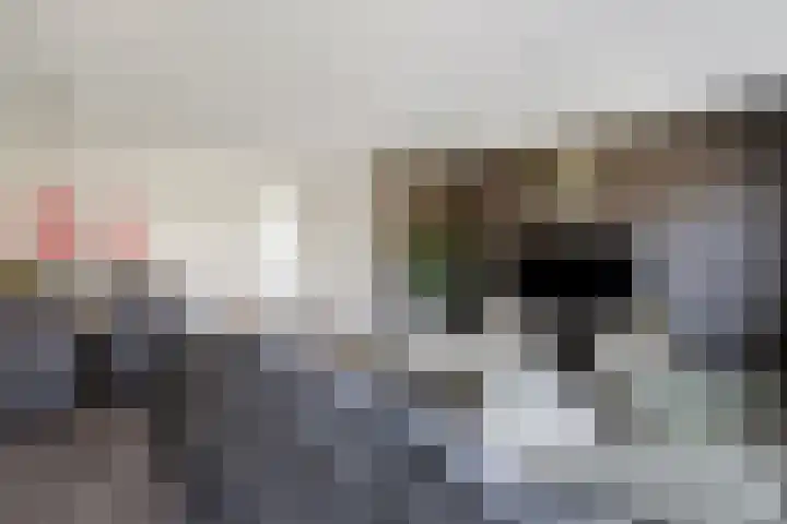 Lijster 7 Raalte thumbnail 8