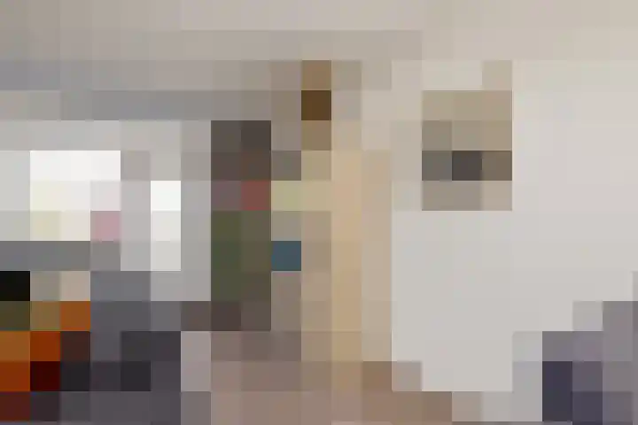 Lijster 7 Raalte thumbnail 9