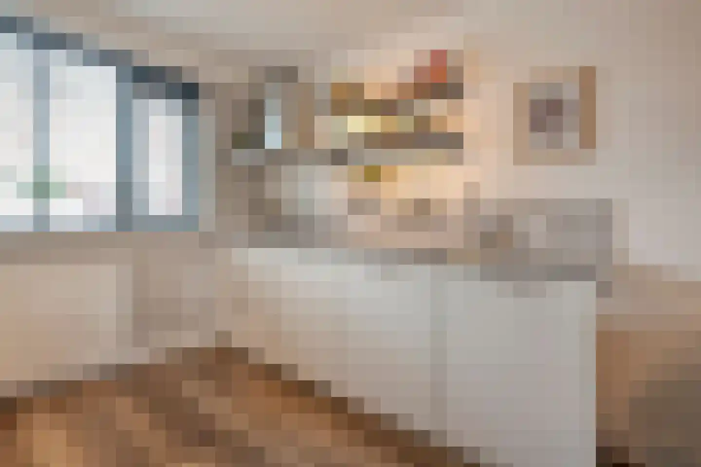 Lijster 71 Raalte thumbnail 10