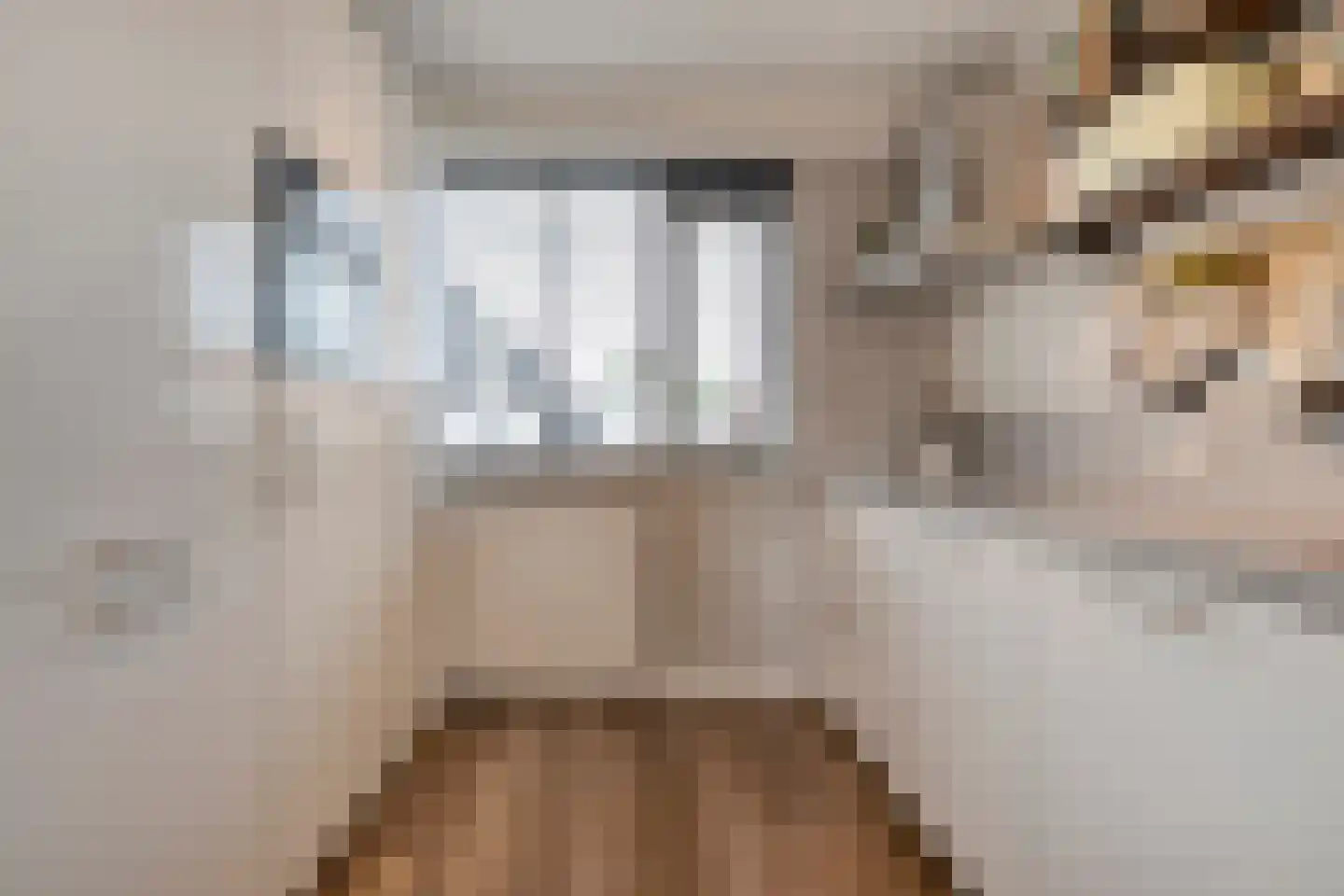 Lijster 71 Raalte thumbnail 11