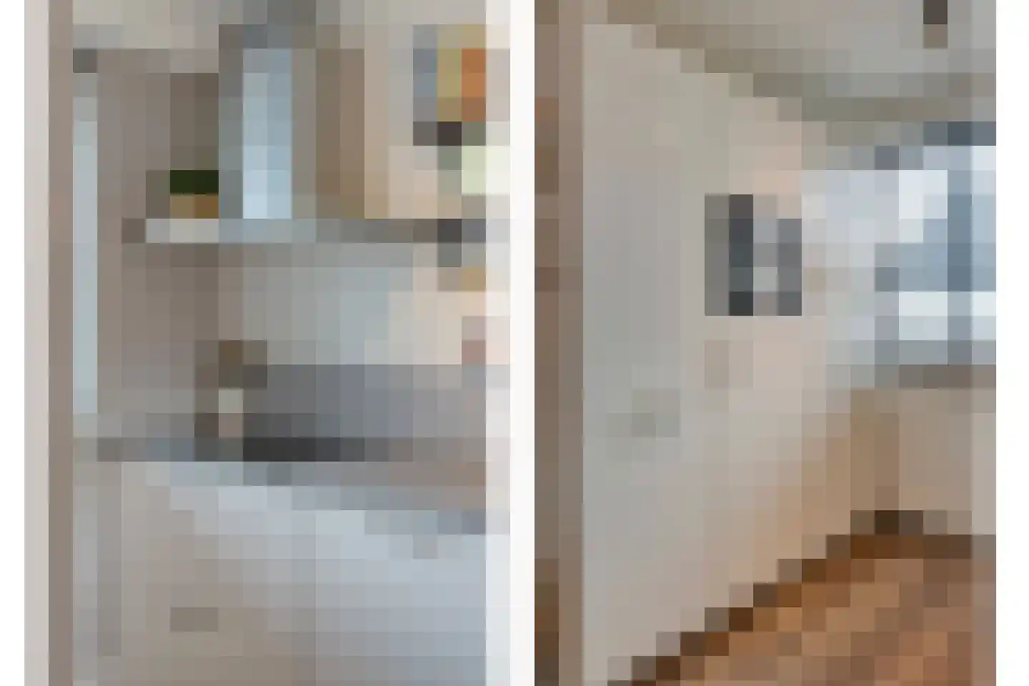 Lijster 71 Raalte thumbnail 13