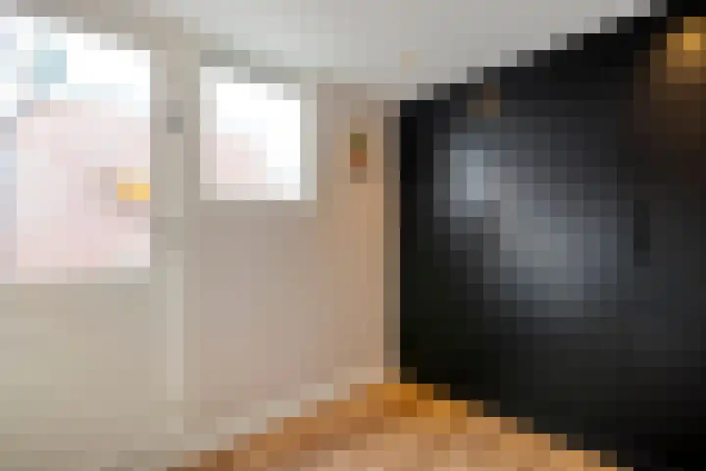 Lijster 71 Raalte thumbnail 15