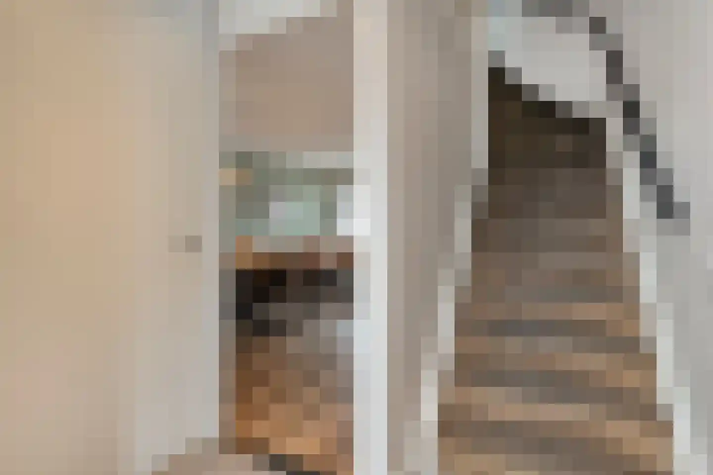 Lijster 71 Raalte thumbnail 16