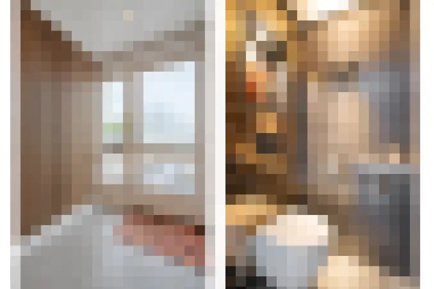 Lijster 71 Raalte thumbnail 17