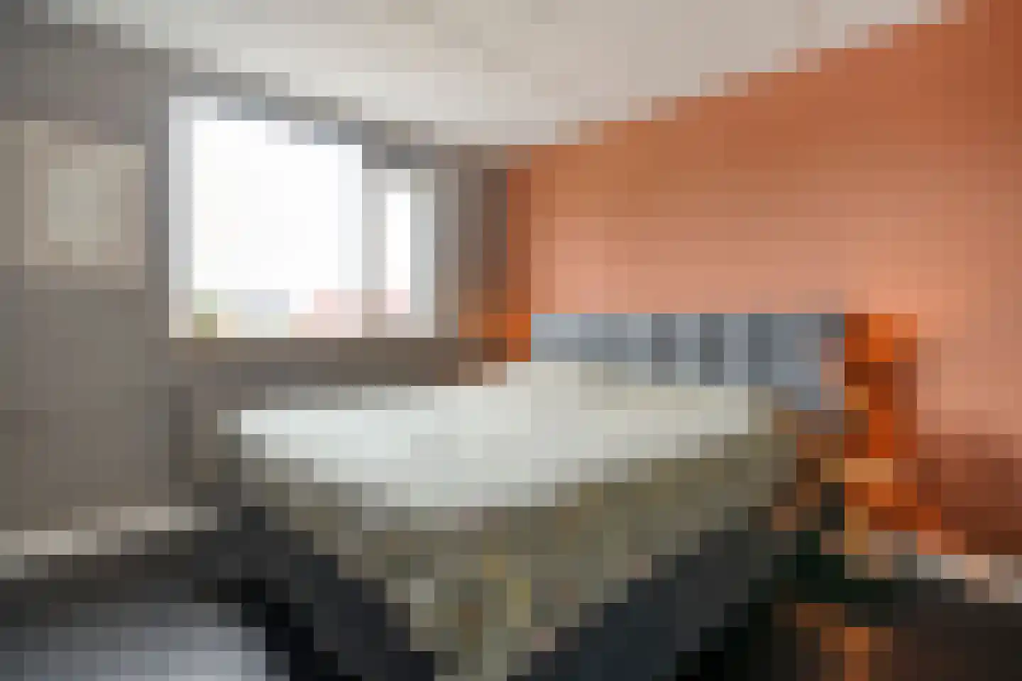 Lijster 71 Raalte thumbnail 18