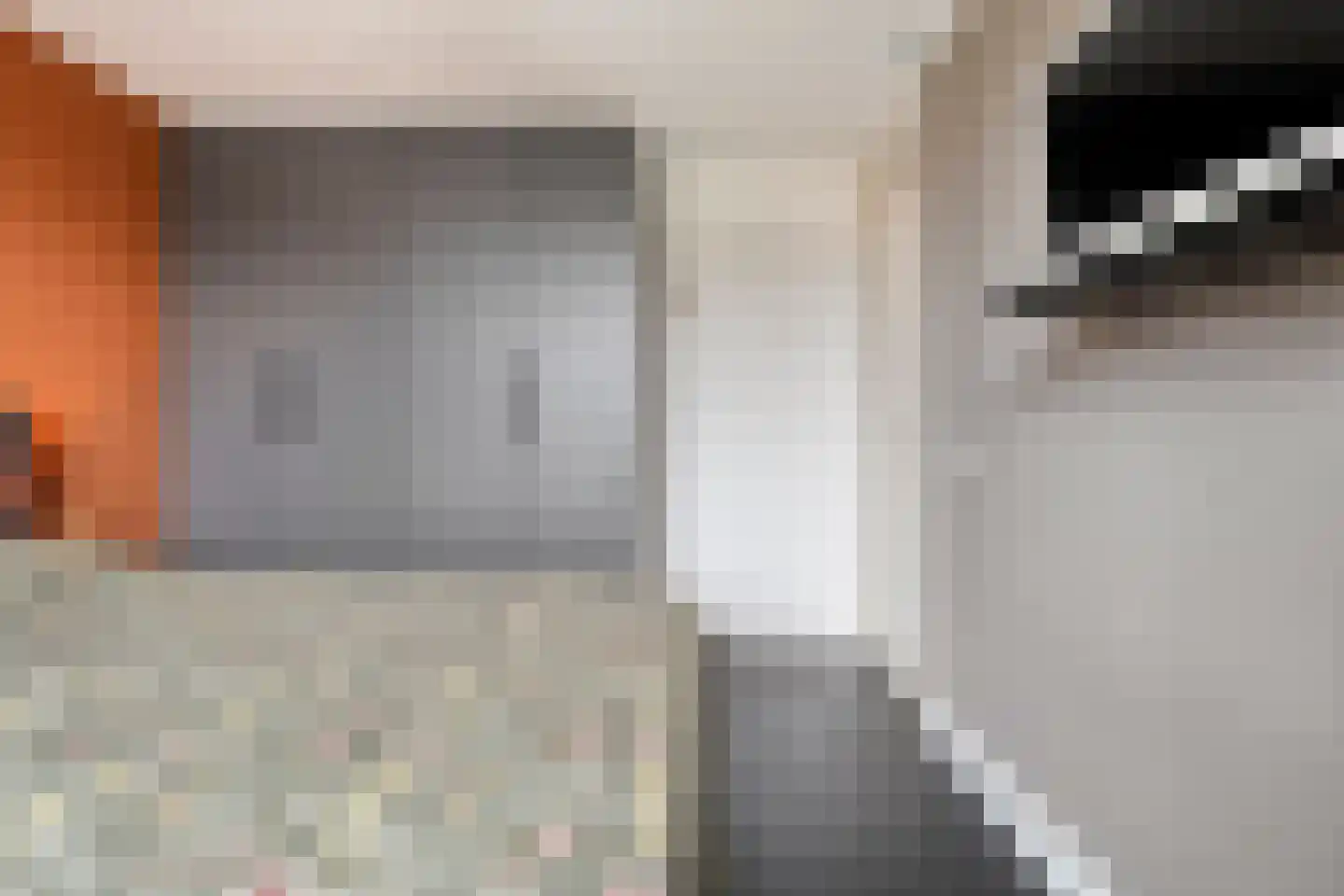 Lijster 71 Raalte thumbnail 19