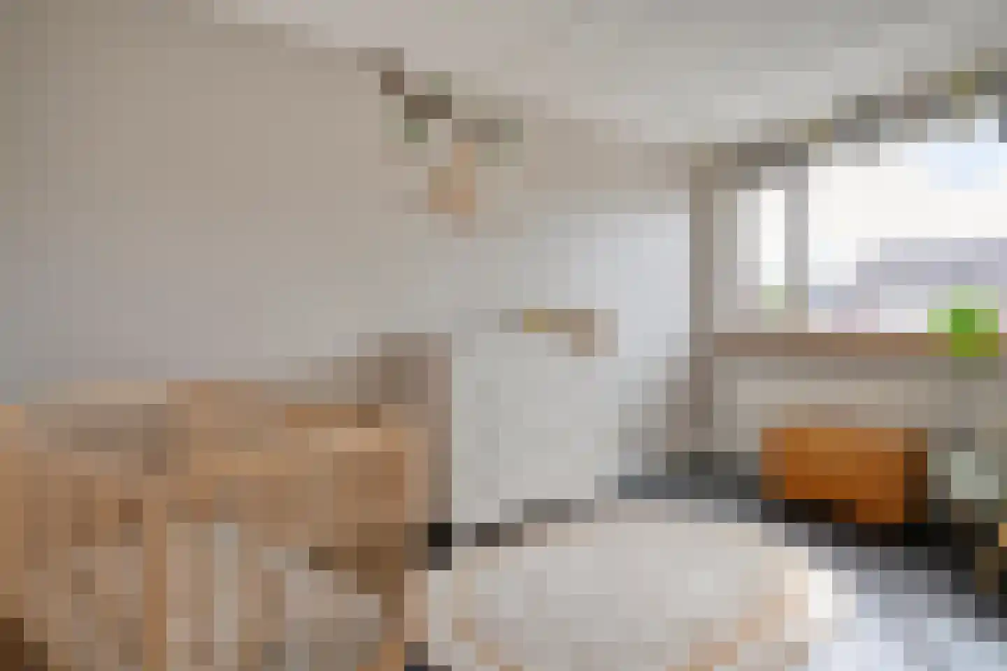 Lijster 71 Raalte thumbnail 20