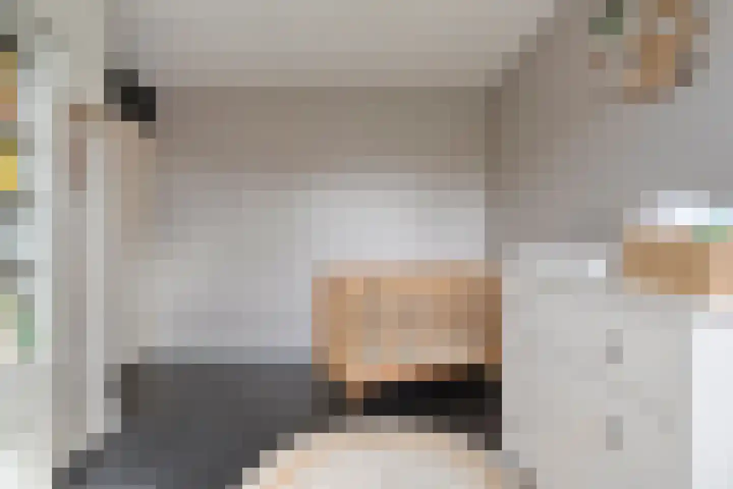 Lijster 71 Raalte thumbnail 21